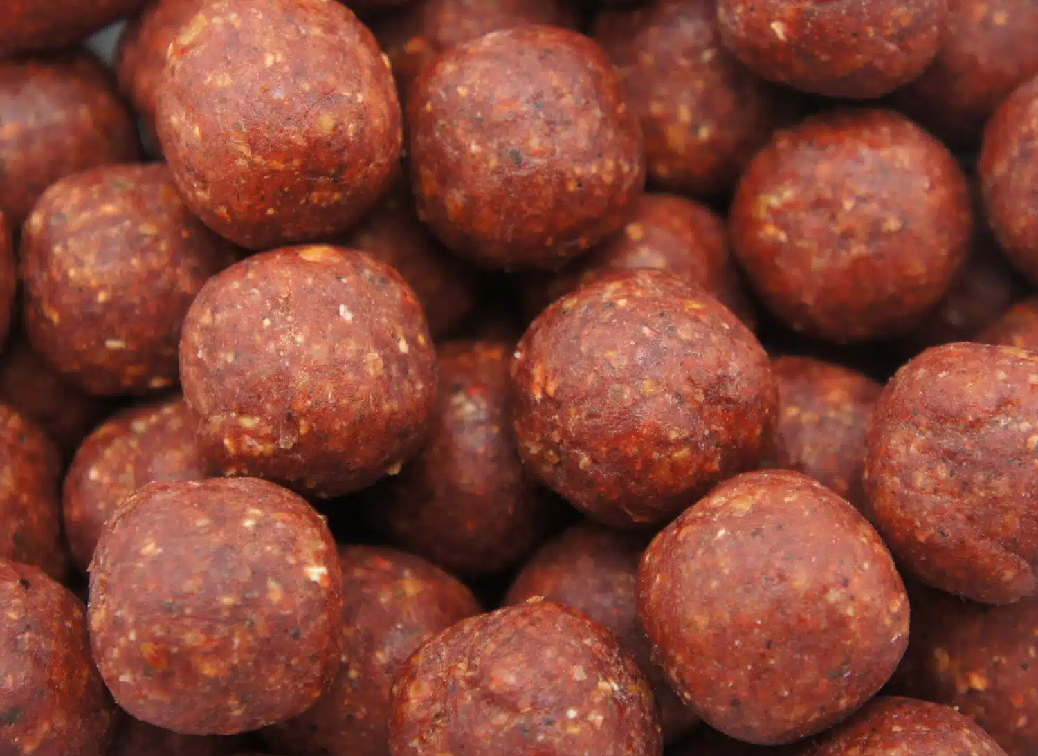 Martin SB Xtra Range – Garlic & Robin Red boilies Martin SB Xtra Range – Garlic & Robin Red Boilies -Savage Gear shop XR Garlic Robin Red close up.jpg