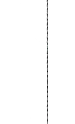 Carp Zoom Anti Eject Rig