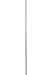 Carp Zoom Classic Boilie Rig