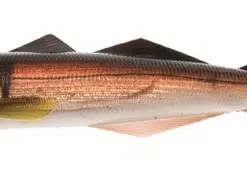 Magic Minnow Big Bob 500 Gr -Savage Gear shop magic minnow big bob lively melano.jpg