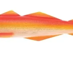 Magic Minnow Big Bob 700 Gr -Savage Gear shop magic minnow big bob rose fish 1.jpg