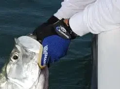 Aftco Bluefever Release Game Fishing Gloves -Savage Gear shop vis 1.jpg